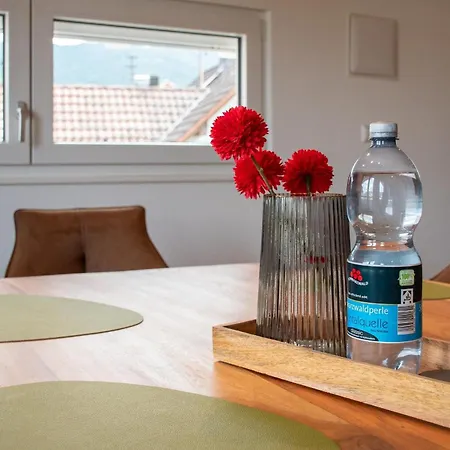 Mein Schwarzwald Apartment Steinach (Baden-Wurttemberg)